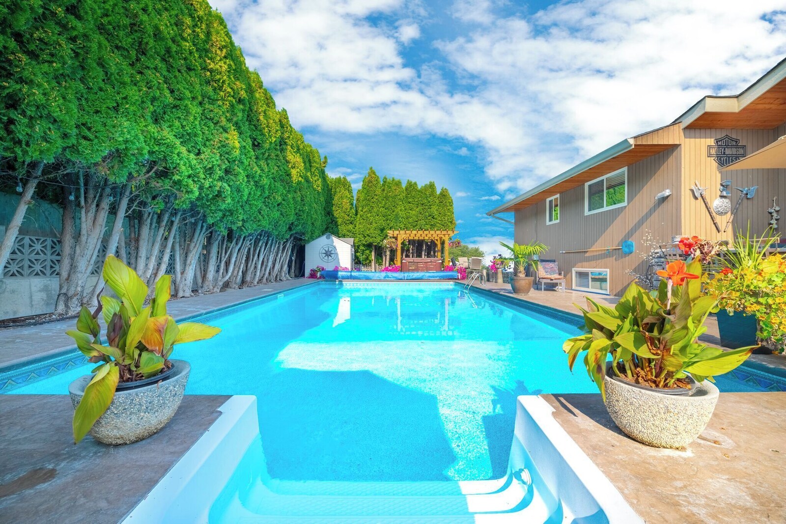 Private pool surrounded by landscaping