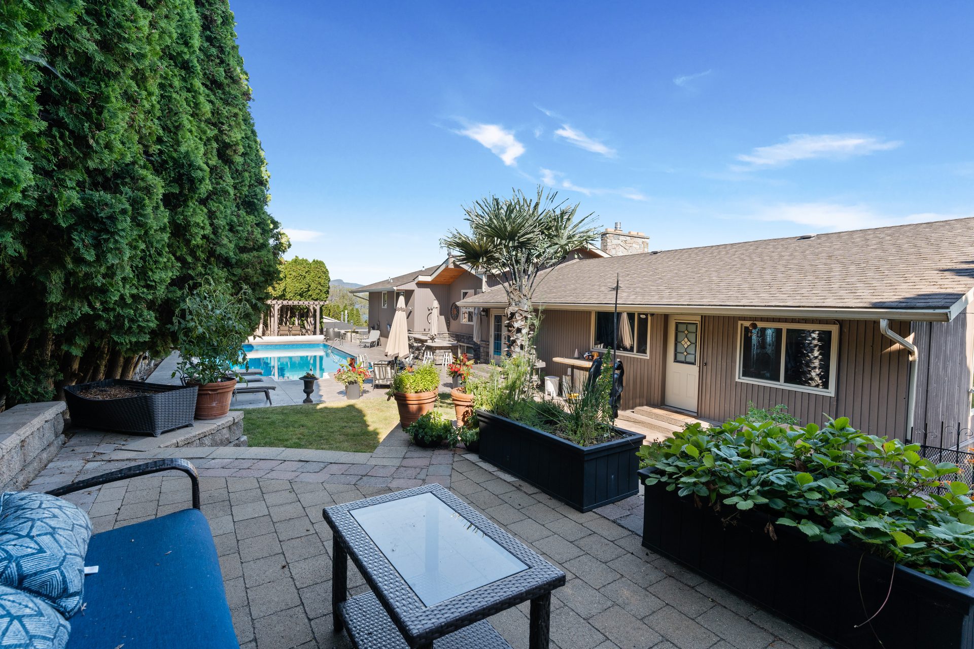 Pool at dusk with LED underwater lighting and string lights illuminating cedar privacy hedges